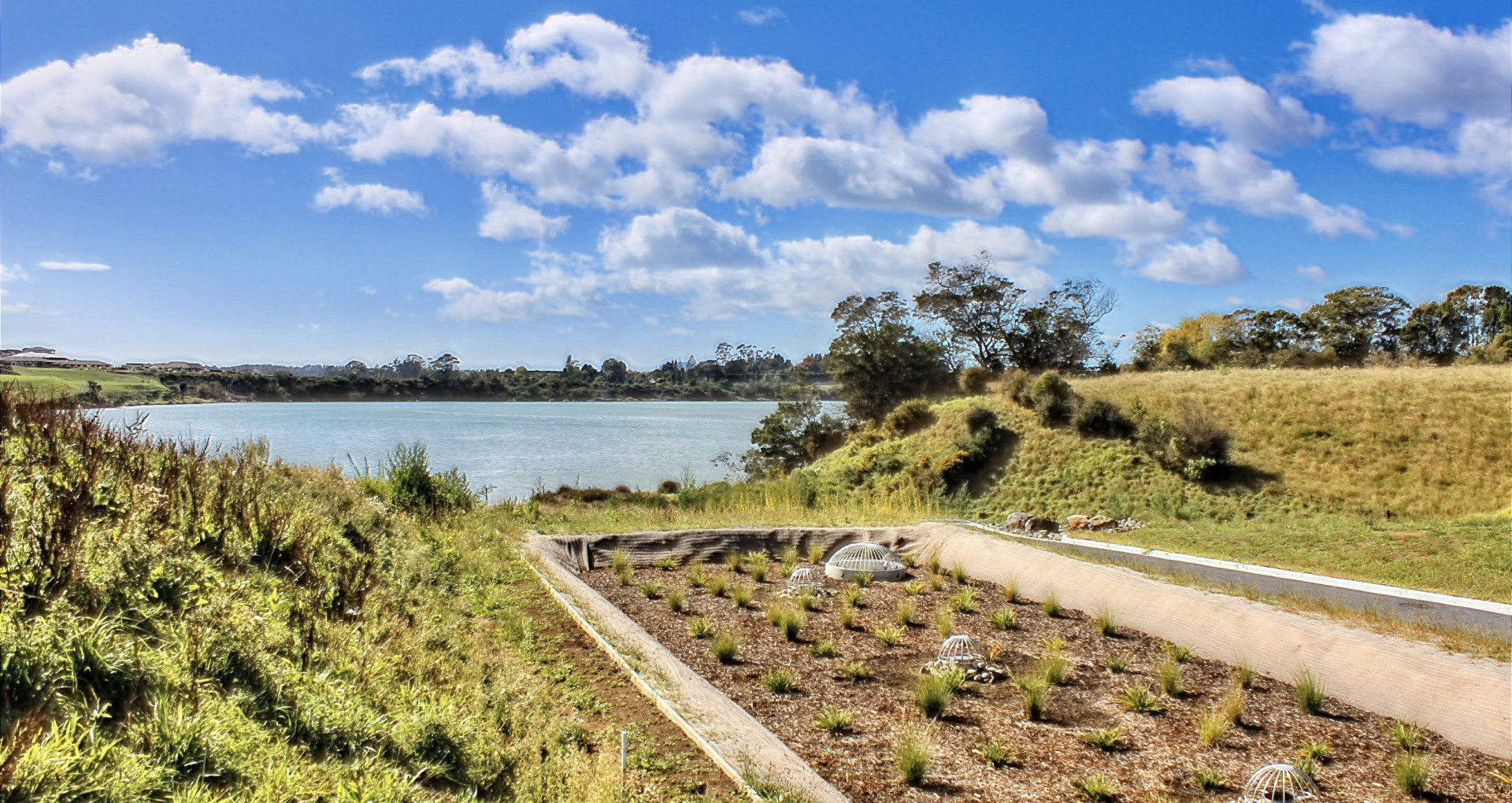 Filterra® Bioscape at Ōmokoroa