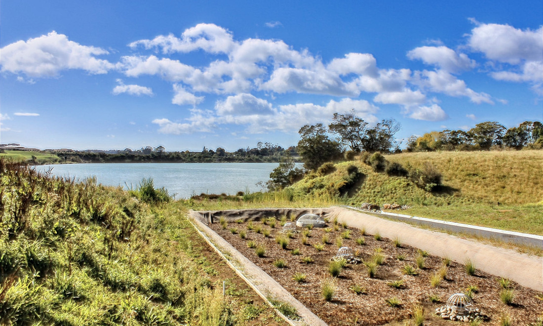 Filterra® Bioscape at Ōmokoroa