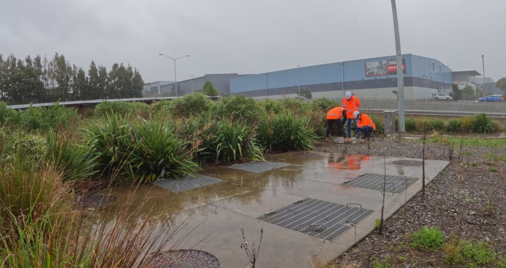 Treatment train at Northern Corridor, Unsworth Drive, Auckland.