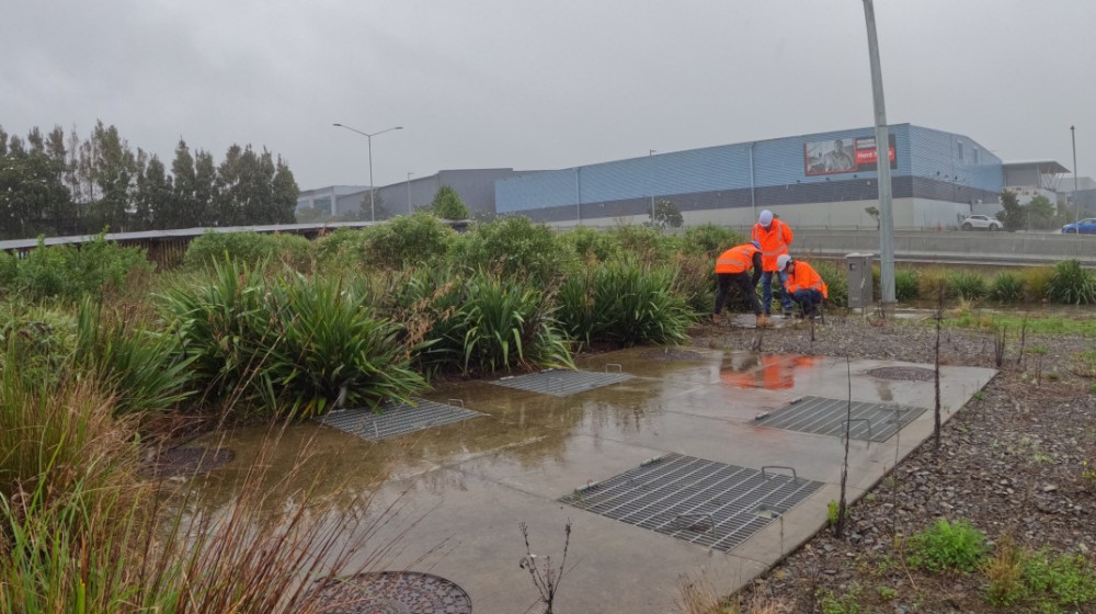 Treatment train at Northern Corridor, Unsworth Drive, Auckland.