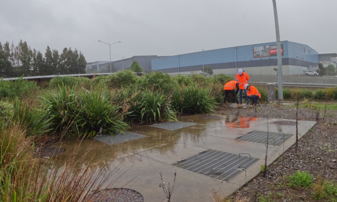 Treatment train at Northern Corridor, Unsworth Drive, Auckland.